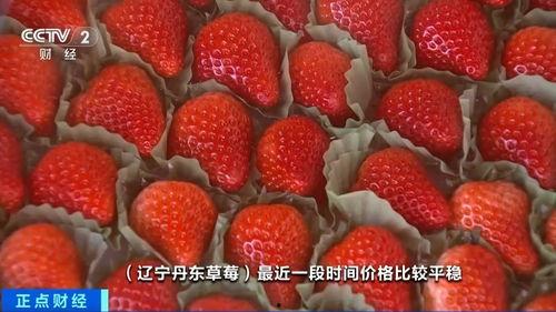 草莓国产在线视频,在线视频带你领略田园风情